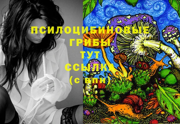 2c-b Волосово