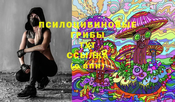 2c-b Волосово