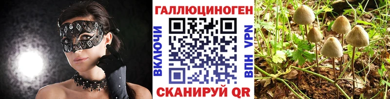 Псилоцибиновые грибы MAGIC MUSHROOMS Приволжский